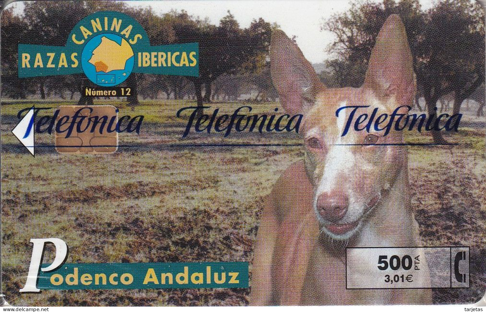 Nº12 PODENCO ANDALUZ DE LA SERIE RAZAS CANINAS IBERICAS DE TIRADA 4400 (NUEVA-MINT) CAN-DOG-PERRO - Privatausgaben