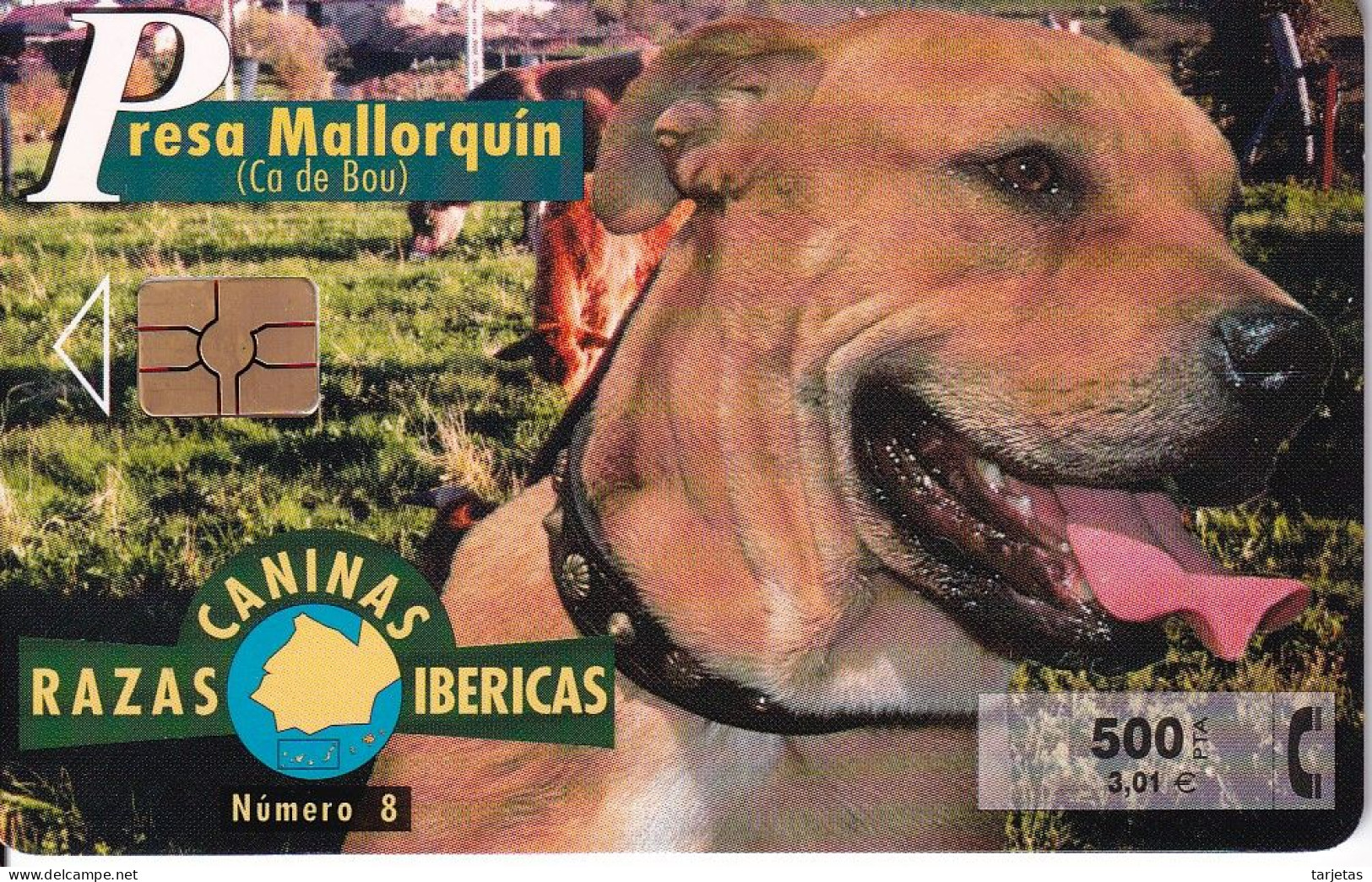 P-426 Nº8 PRESA MALLORQUIN DE LA SERIE RAZAS CANINAS IBERICAS DE TIRADA 5300 (PERRO-CAN-DOG) - Emissions Privées