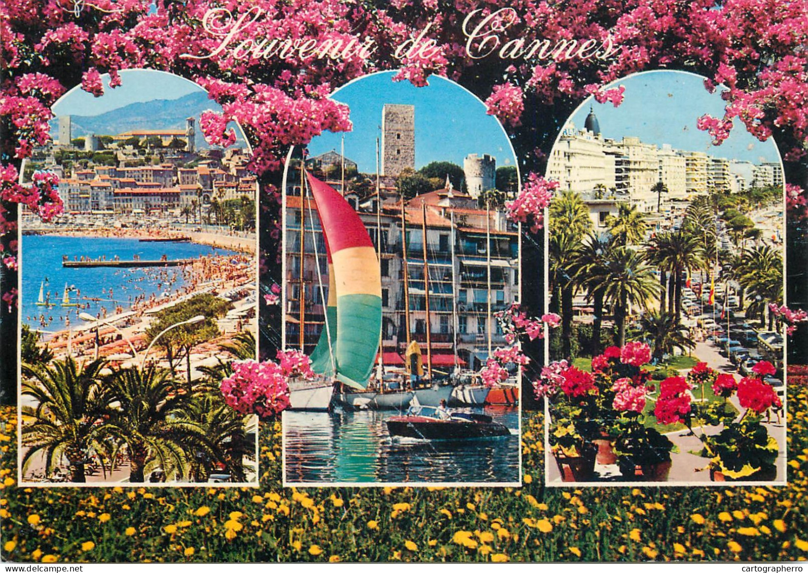 Navigation Sailing Vessels & Boats Themed Postcard Cannes - Voiliers