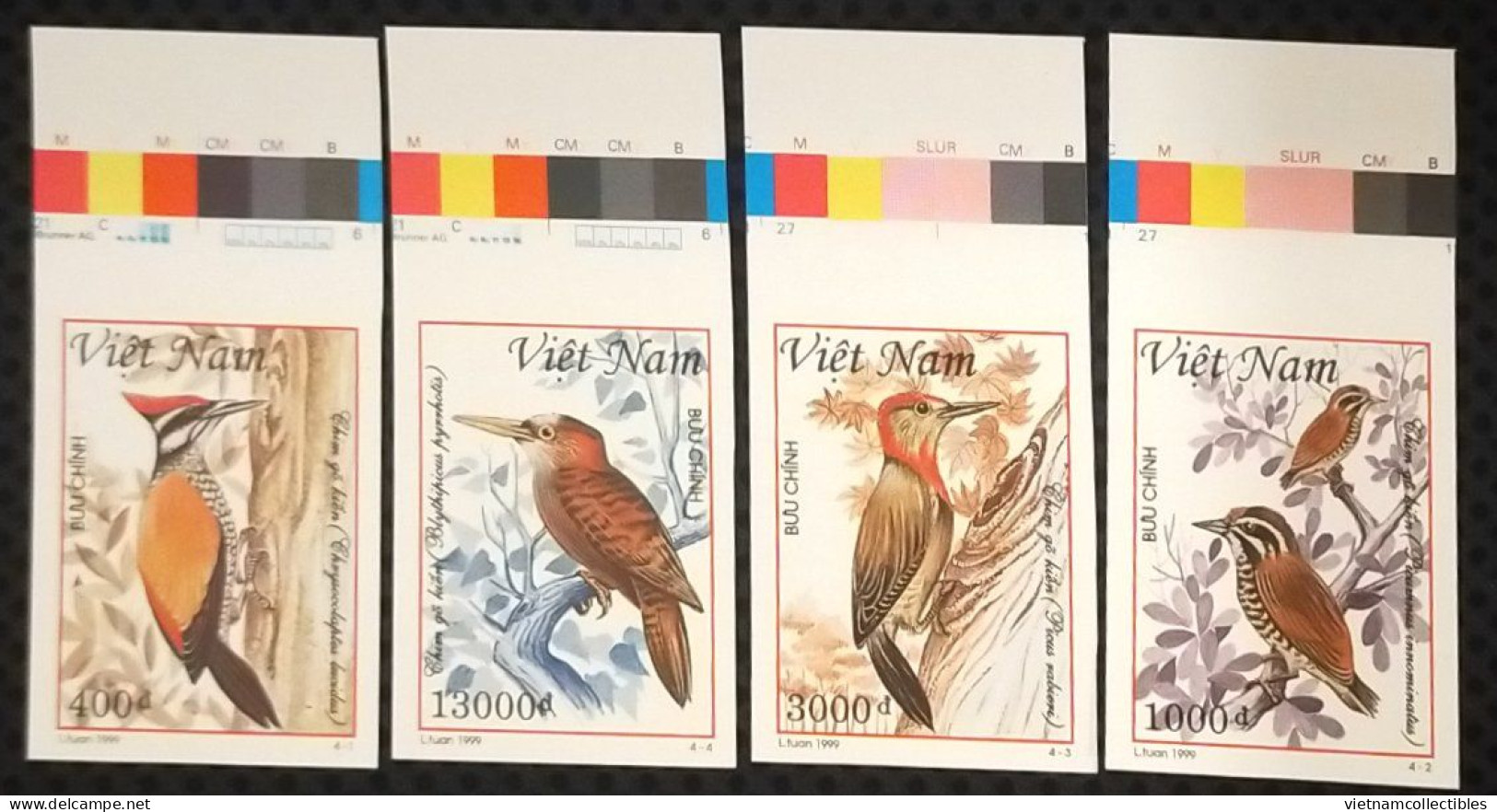Vietnam Viet Nam MNH Imperf Stamps 1999 : Woodpecker / Bird (Ms805) - Vietnam