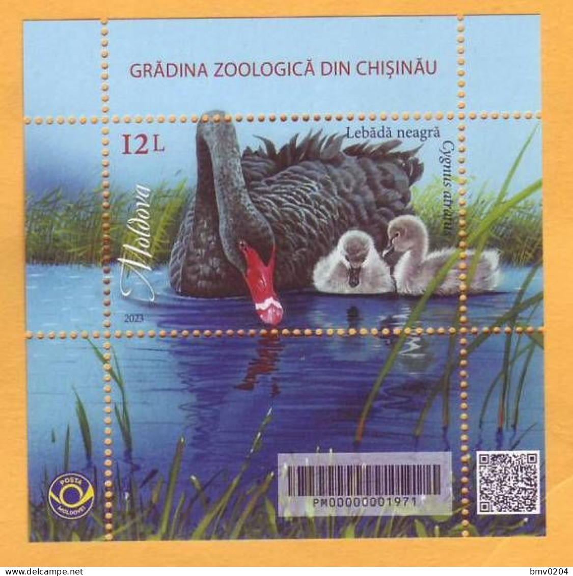 2023  Moldova Zoo Block „Faune. Chisinau Zoological Garden”  Black Swan (Cygnus Atratus) 1v Mint - Moldawien (Moldau)