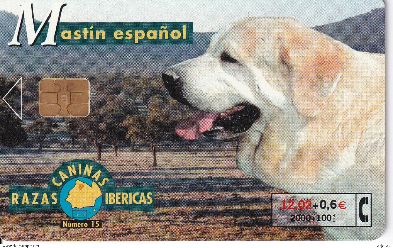 B-091 TARJETA DE ESPAÑA DEL PERRO MASTIN ESPAÑOL - Emissions Basiques