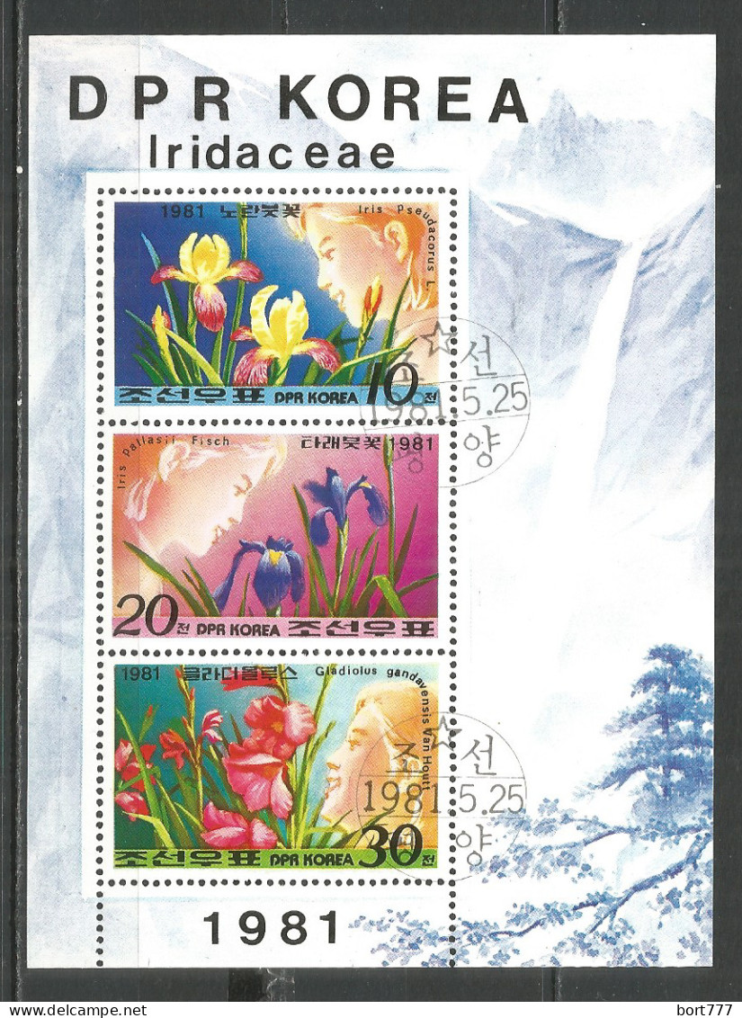 Korea 1981 Used Stamps Mini Sheet Flowers - Corée Du Nord