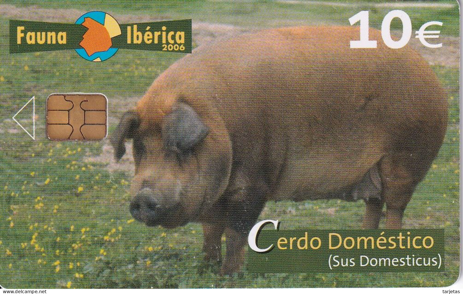 TARJETA DE ESPAÑA DE UN CERDO DOMESTICO (PIG) - Emisiones Básicas