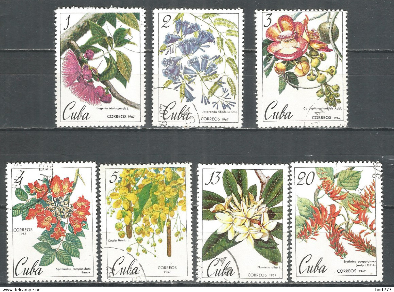 Caribbean 1967 Year , Used Stamps Set Flowers - Oblitérés