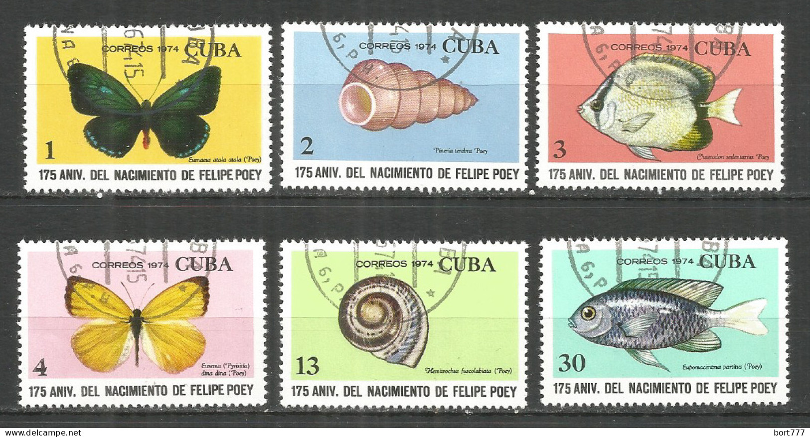 Caribbean 1974 Year , Used Stamps Butterfly - Oblitérés