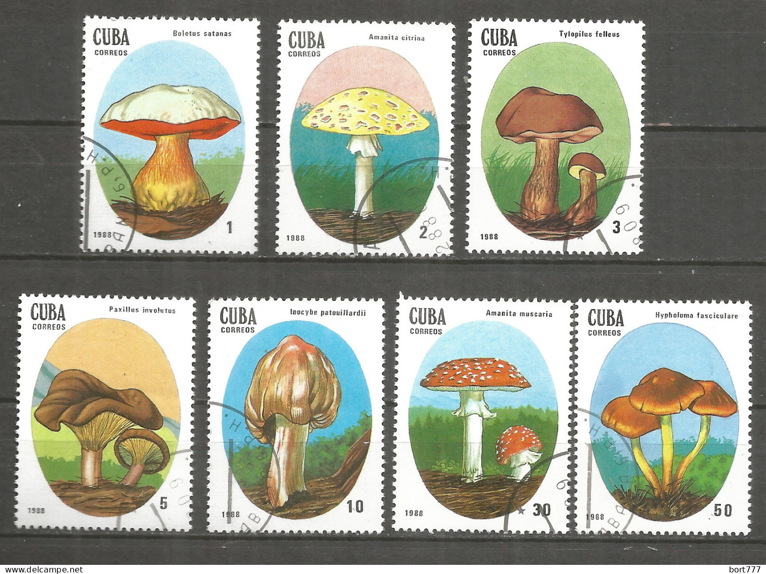 Caribbean 1988 Year , Used Stamps Mushrooms - Gebruikt