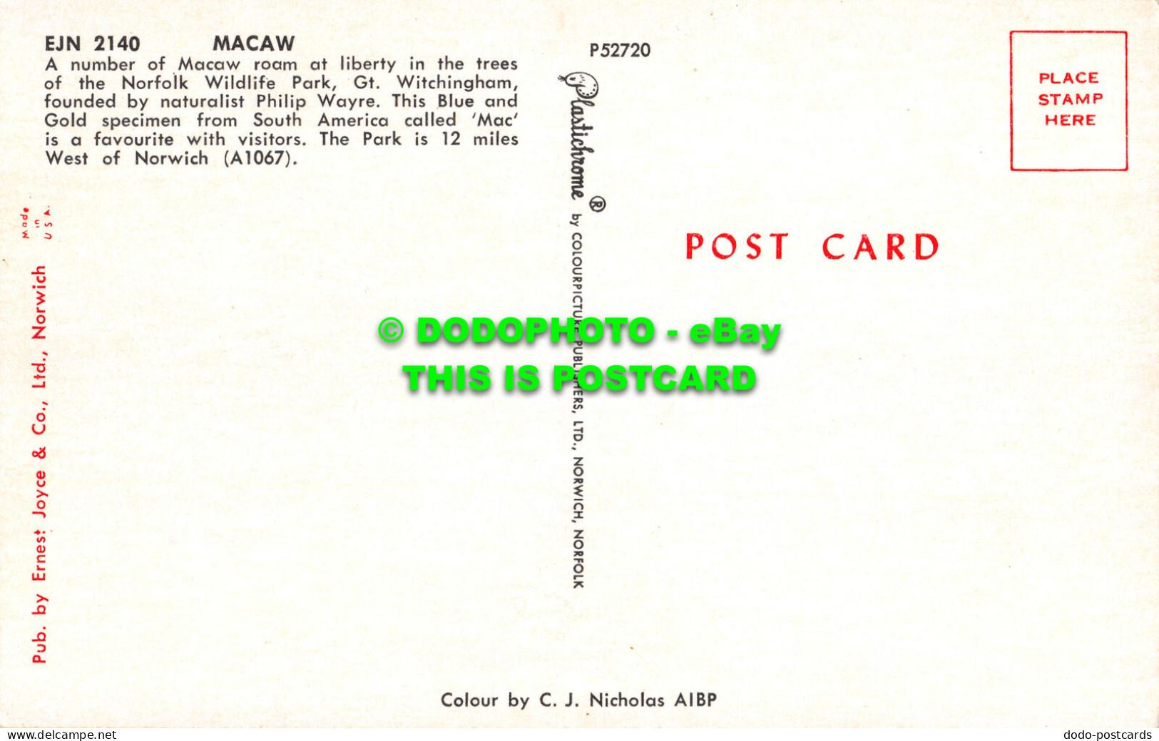 R527963 EJN 2140. Macaw. Ernest Joyce. Plastichrome. Colourpicture Publishers. C - World