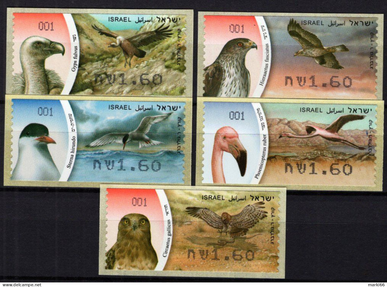 Israel - 2009-2010 - Domestic Birds - Mint Self-adhesive ATM Stamp Set - Automatenmarken (Frama)