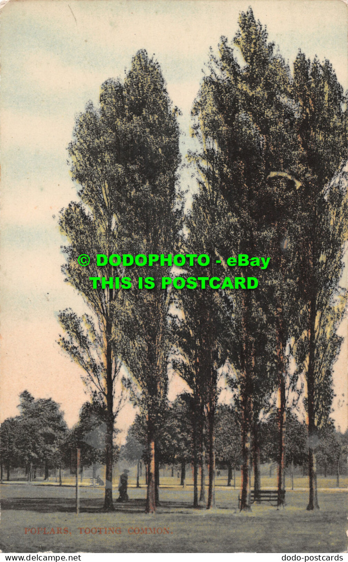 R527990 Poplars. Tooting Common. F. C. Morgan. Ser. 250 11 - World