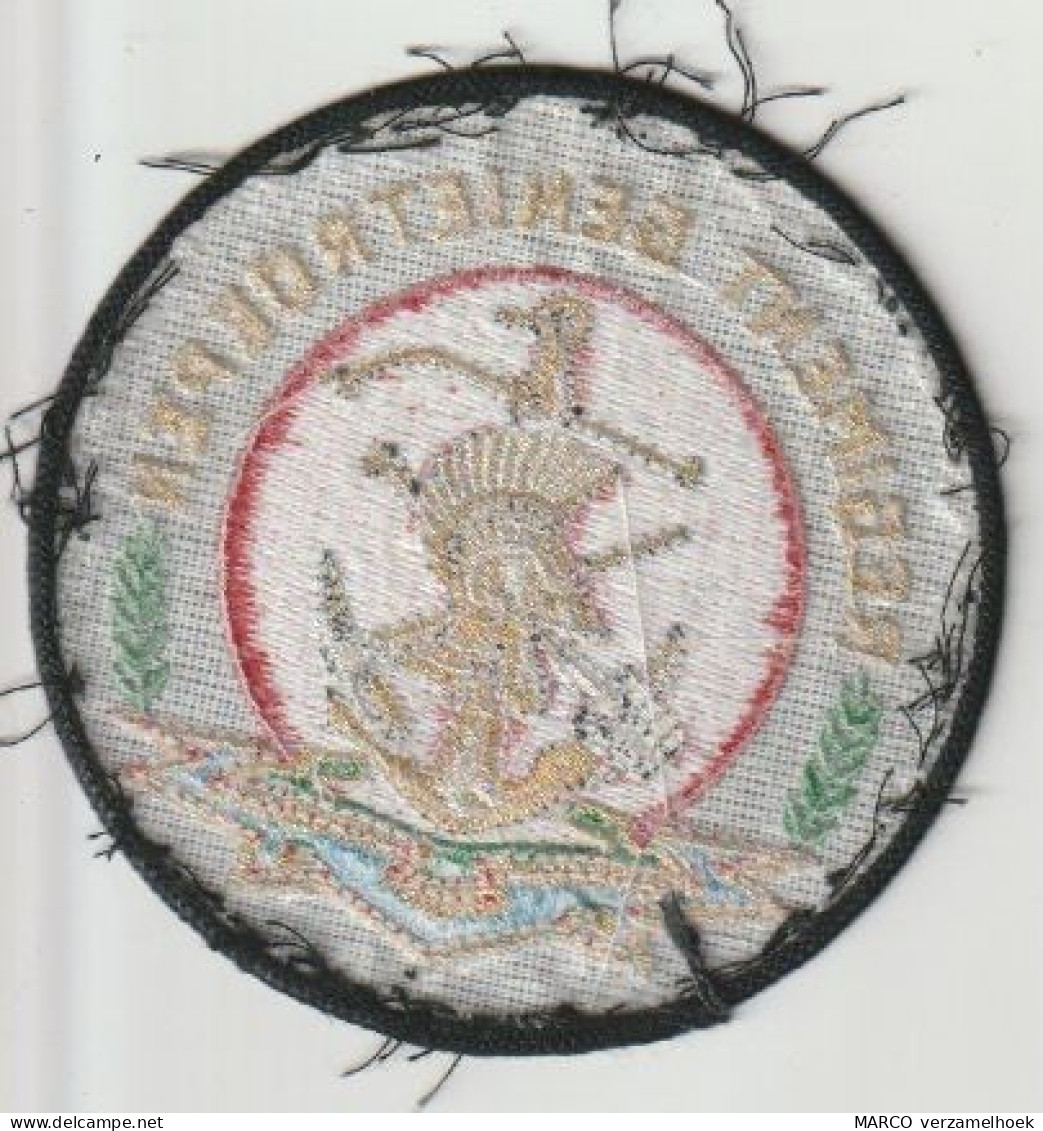 Patch-badge Militair Regiment Genietroepen (NL) Ministerie Van Defensie - Hueste