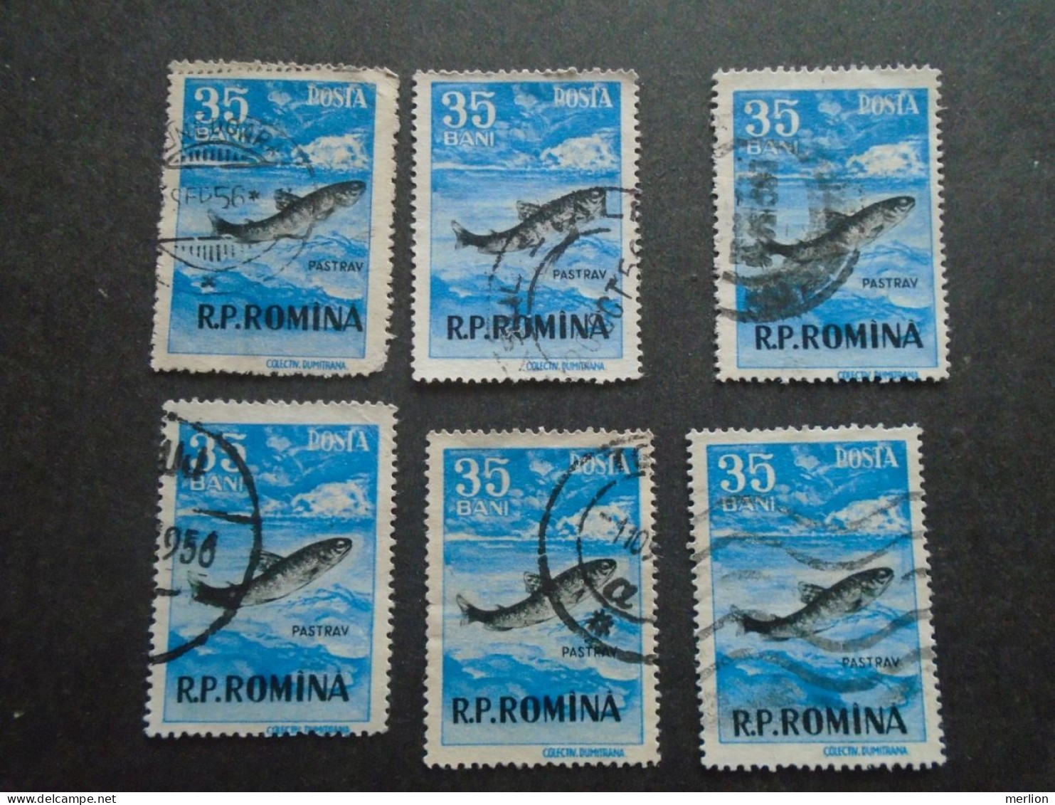 D202273    Romania - 1950's  -  Lot Of 6 Used Stamps   Trout  Péche Fish   1567 - Gebraucht