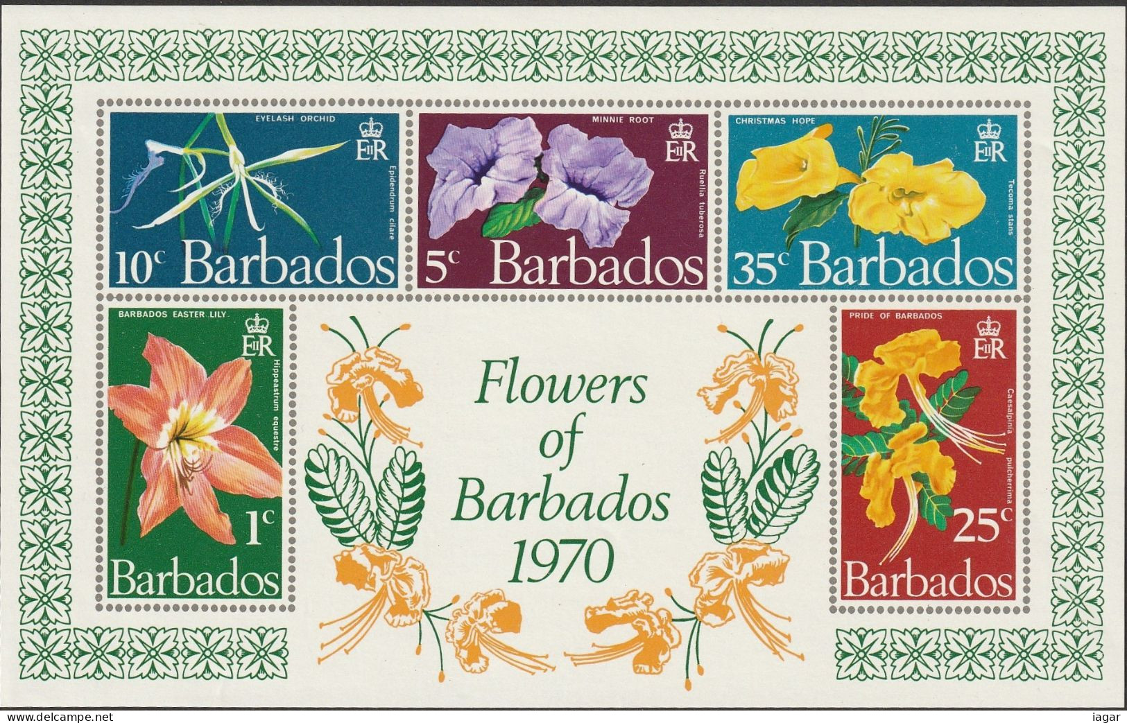 THEMATIC FLORA:  FLOWERS OF BARBADOS.  MINNIE ROOT, EASTER LILY, EYELASH ORCHID, PRIDE, CHRISTMAS HOPE - MS -  BARBADOS - Otros & Sin Clasificación