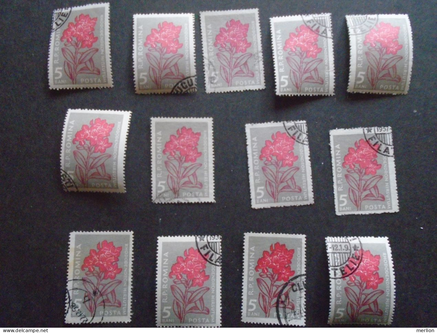 D202276   Romania - 1957  -  Lot Of 13  Used Stamps    Rhododendron     1647 - Usado