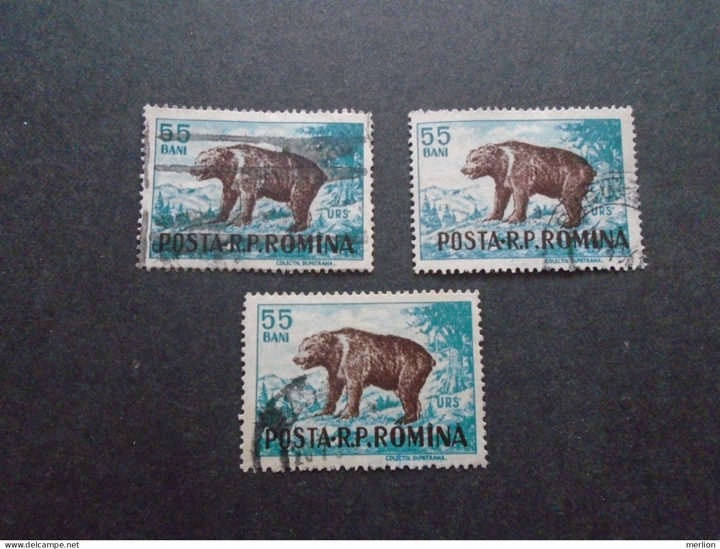 D202278   Romania - 1955  -  Lot Of 3  Used Stamps   Bear, Ours    1569 - Usati