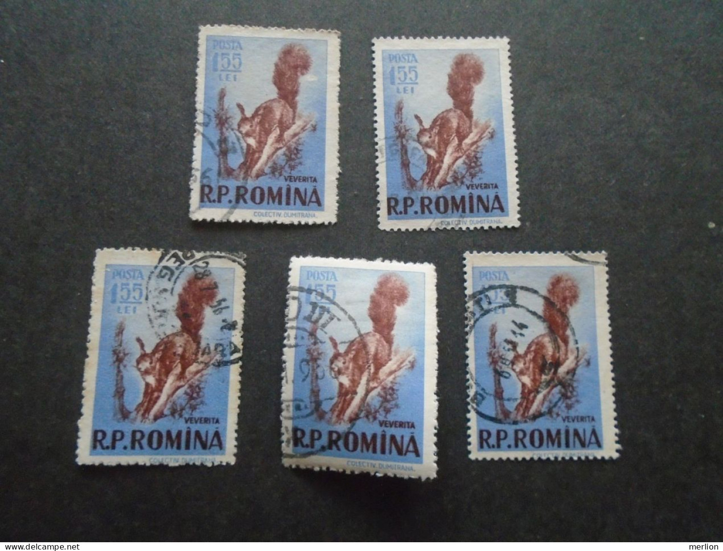 D202279   Romania - 1955  -  Lot Of 5 Used Stamps   Squirrel - Eichhörnchen - Écureuil 1572 - Oblitérés
