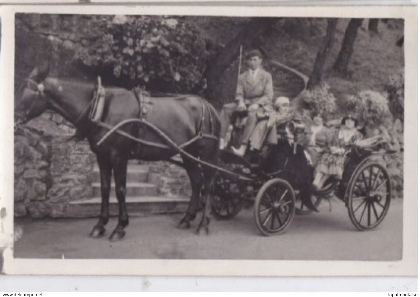 Carte Photo Attelage Taxi Cabriolet Avec Un Cheval  " Réf 29884 - Altri & Non Classificati