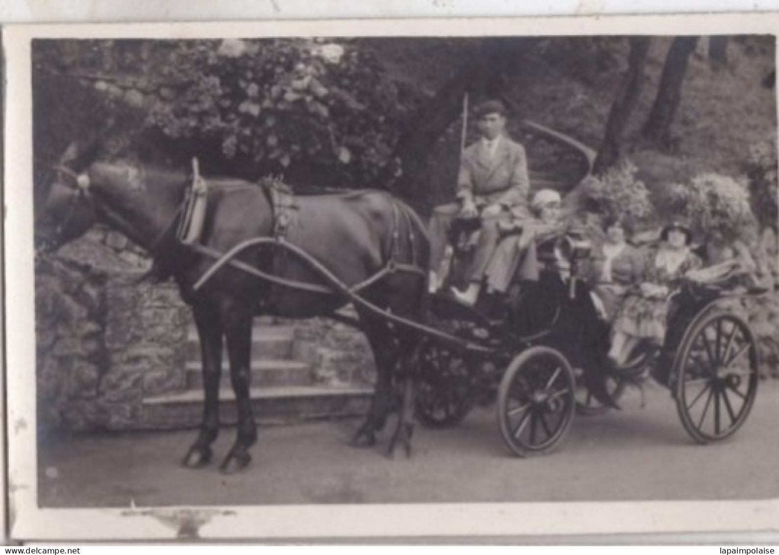 Carte Photo Attelage Taxi Cabriolet Avec Un Cheval  " Réf 29884 - Altri & Non Classificati