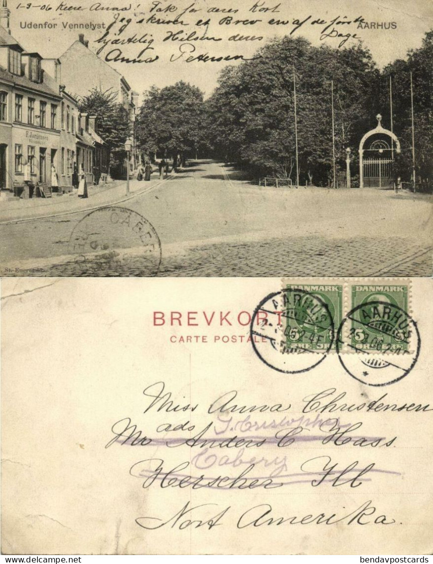 Denmark, AARHUS ÅRHUS, Udenfor Vennelyst (1906) Postcard - Danemark