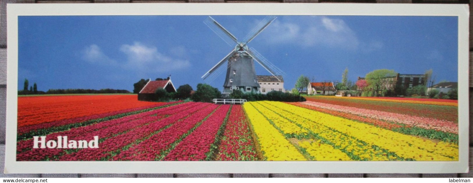 NETHERLANDS HOLLAND WINDMILL FLOWERS KARTE XL POSTCARD ANSICHTSKARTE CARTE POSTALE CARTOLINA POSTKARTE CARD - Autres & Non Classés