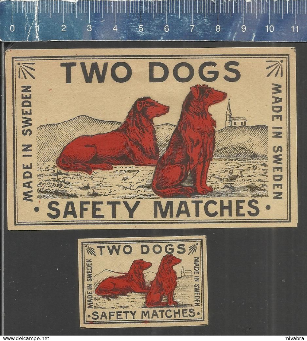 TWO DOGS   - OLD VINTAGE MATCHBOX LABELS MADE IN SWEDEN - Matchbox Labels