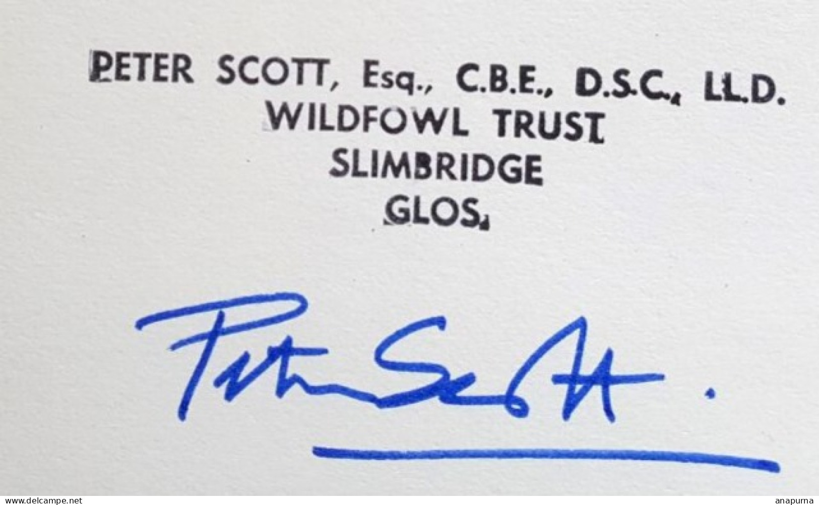 Peter Scott, Robert Falcon, Signé, Signed, British Polar Explorer, Expéditions Antarctiques Britanniques - Storia Postale