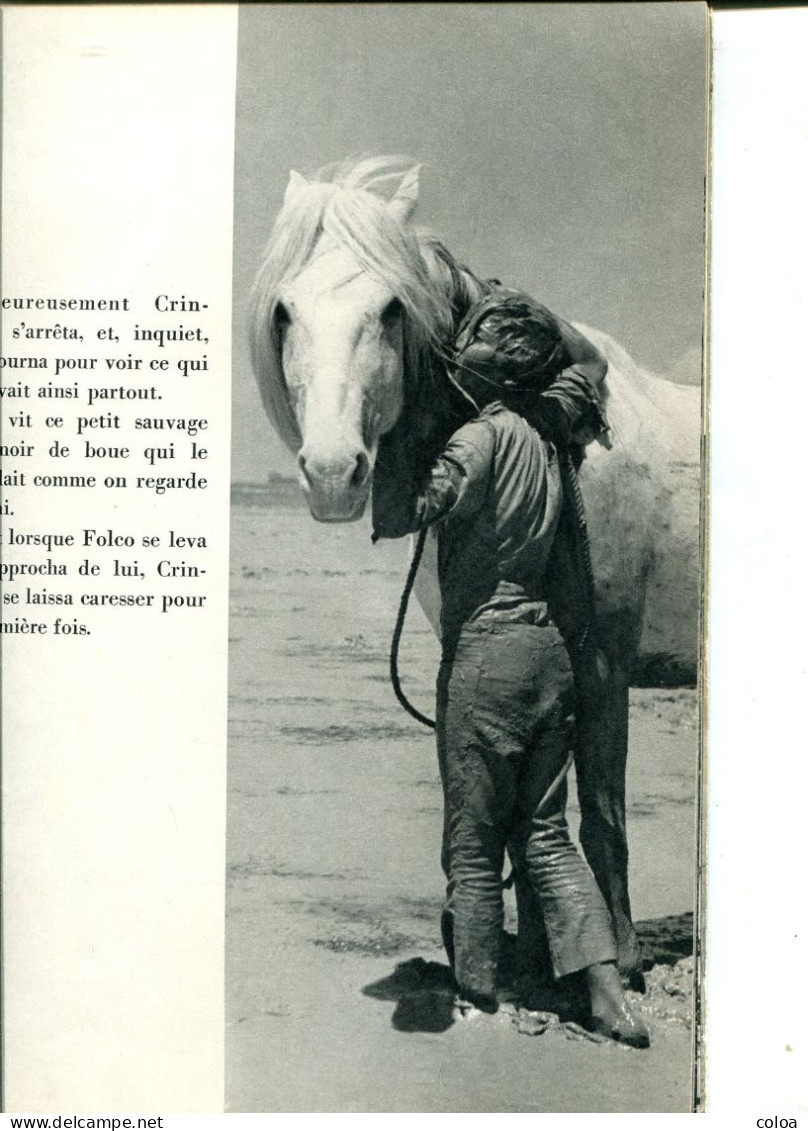 Camargue Albert LAMORISSE Crin-Blanc 1955 - 1901-1940