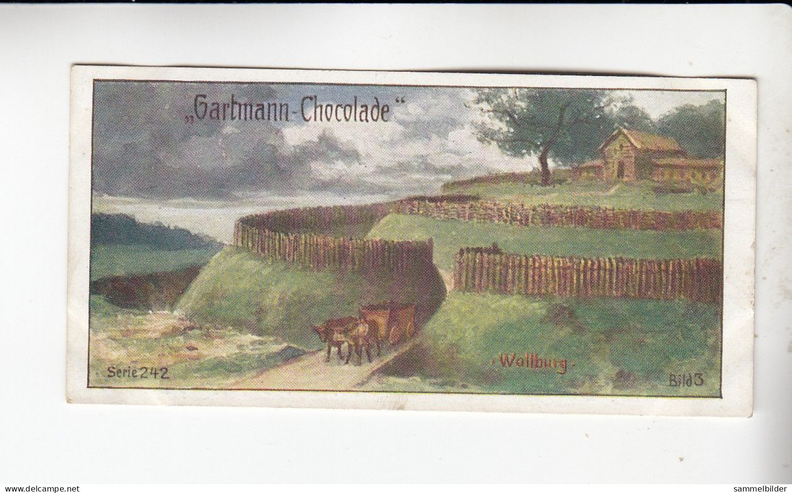 Gartmann  Alte Burgen  Wallburg      Serie 242 #3 Von 1908 - Autres & Non Classés