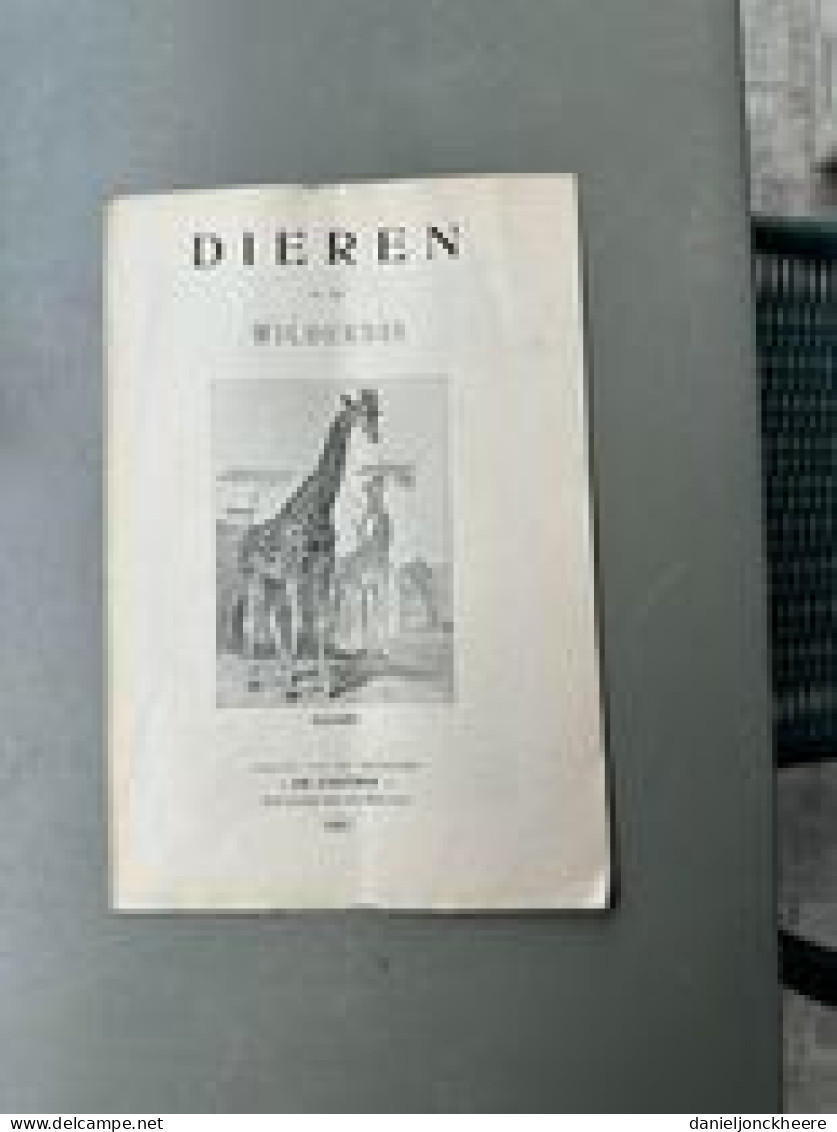 Dieren In De Wildernis Giraffe 1923 Uitgave Drukkerij Lusthof Steenbrugge - 1900 - 1949