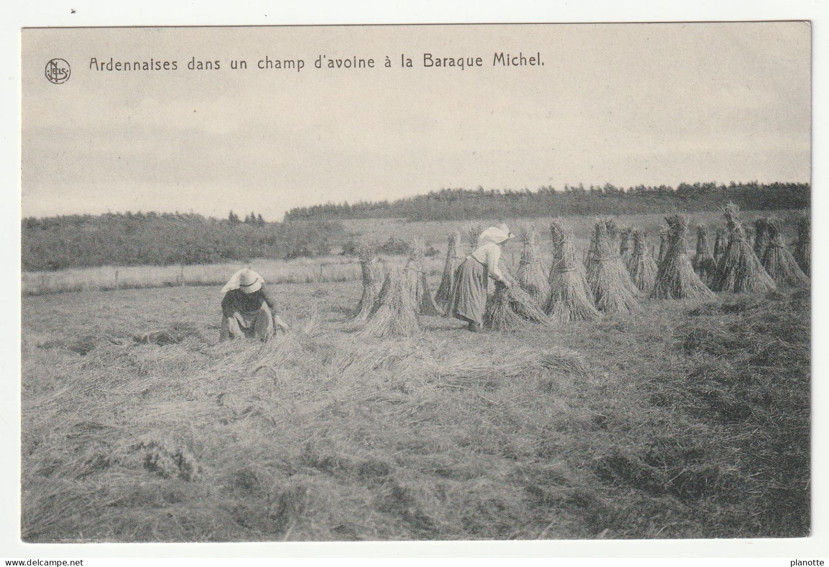 Ardennaises Dans Un Champ D'Avoine A La Baraque Michel - Belle CPA 1910s Animée - Jalhay