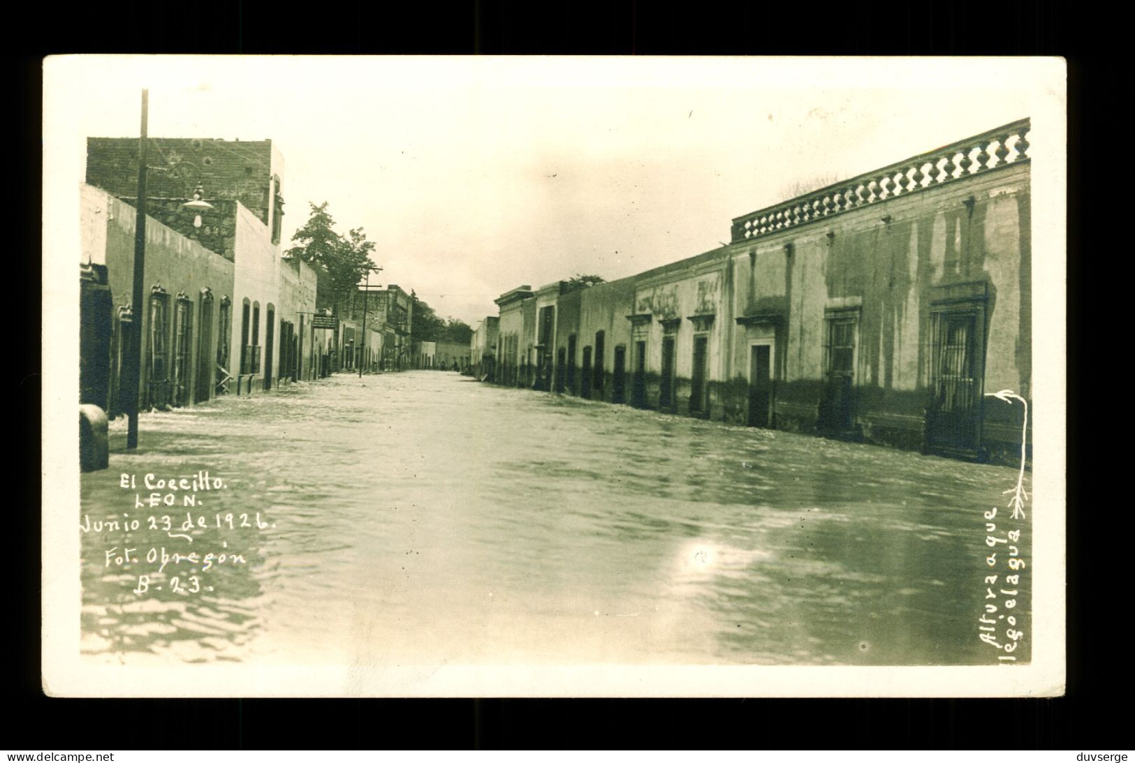 Mexico Mexique Leon El Coecillo Foto Obregon Inundaciones Junio 23 De 1921 ( Formato 8,7cm X 13,8cm ) - Mexico