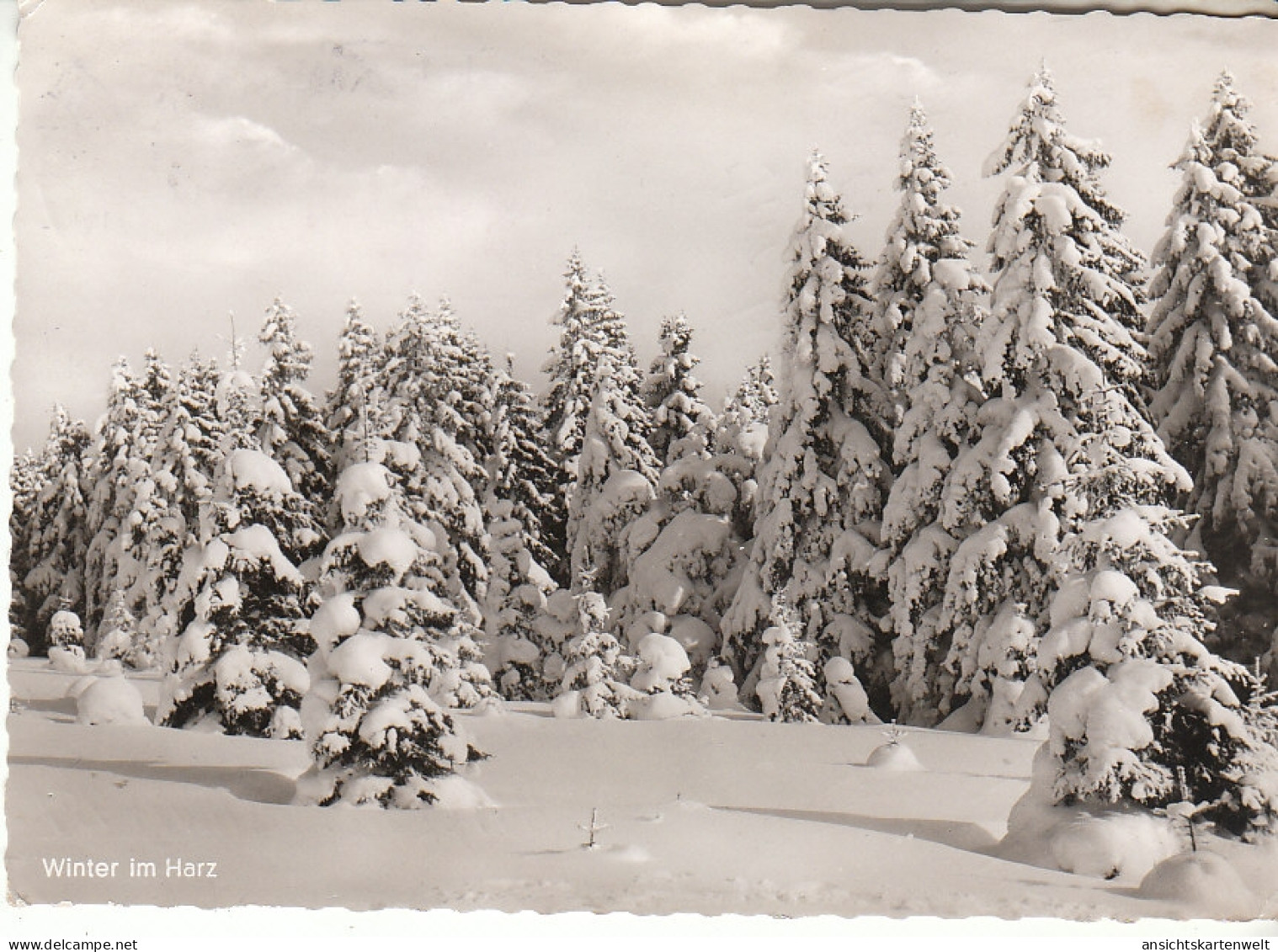 Winter Im Harz Gl1961 #C9629 - Sonstige & Ohne Zuordnung