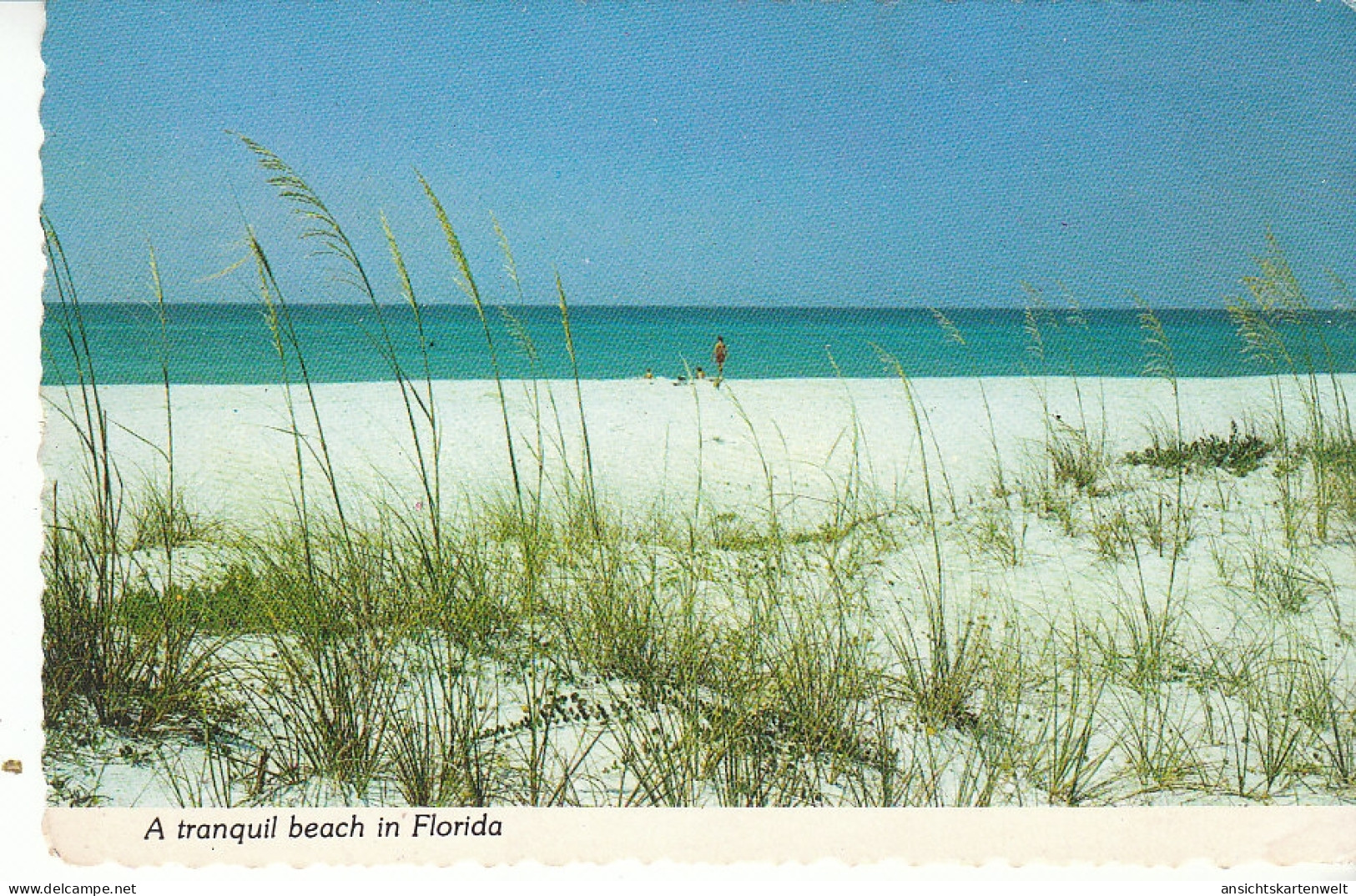 A Tranquile Beach In Florida Ngl #C9251 - Autres & Non Classés