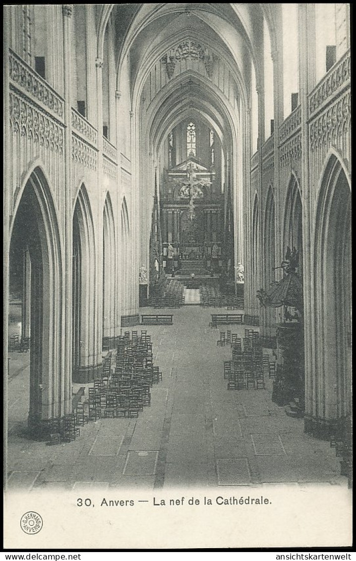 Anvers La Nef De La Cathédrale Ngl #139.924 - Andere & Zonder Classificatie