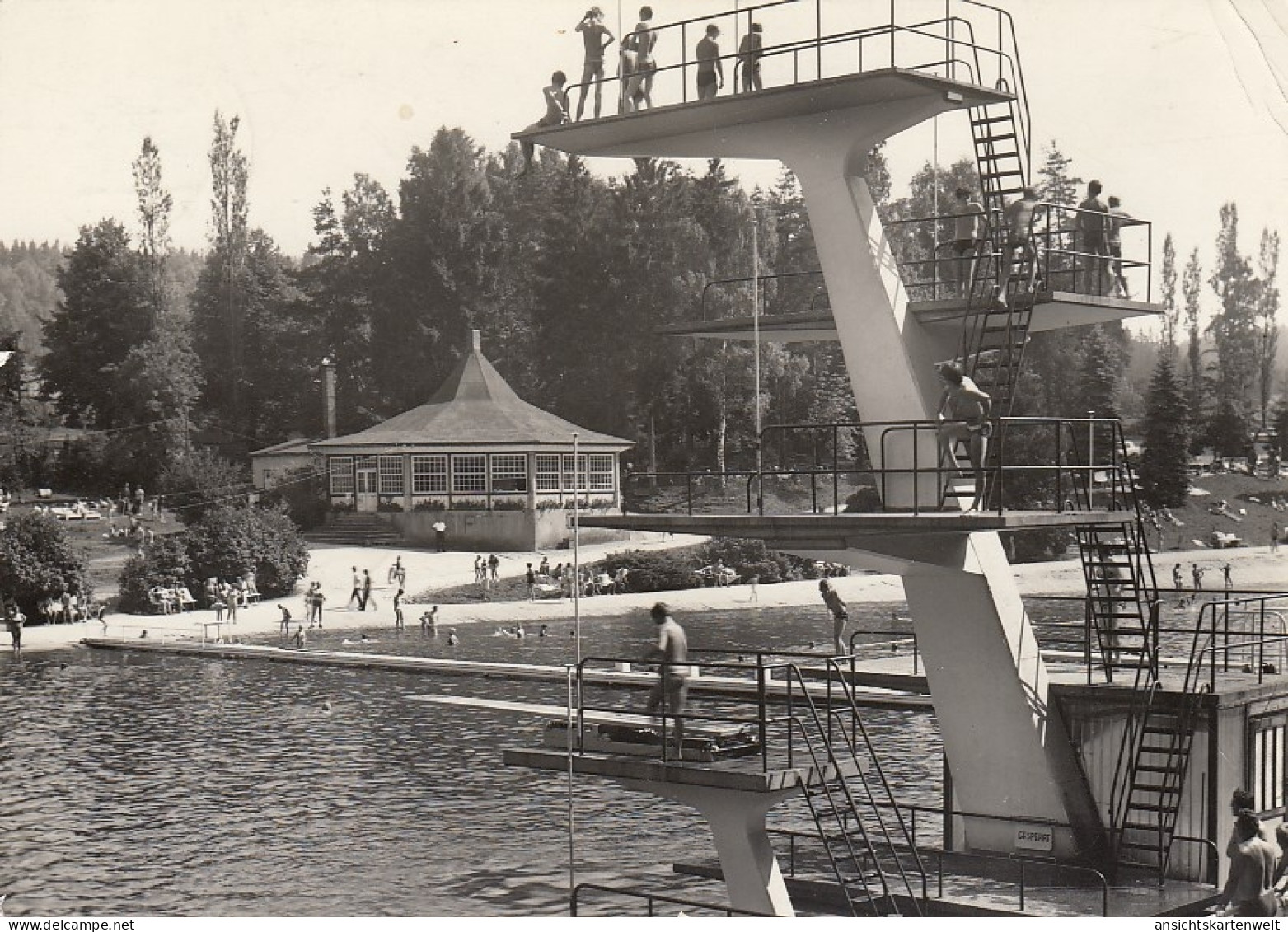 Waldbad Auerbach-Brunn Im Vogtland Gl1972 #D1751 - Autres & Non Classés