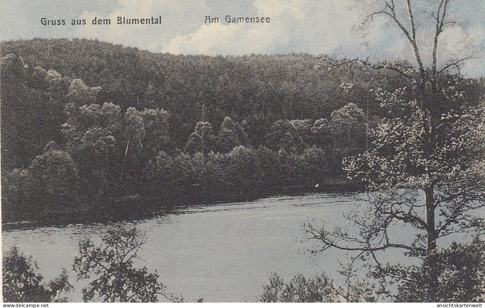 Gruss Aus Dem Blumental Am Gamensee Glum 1910? #D0890 - Other & Unclassified