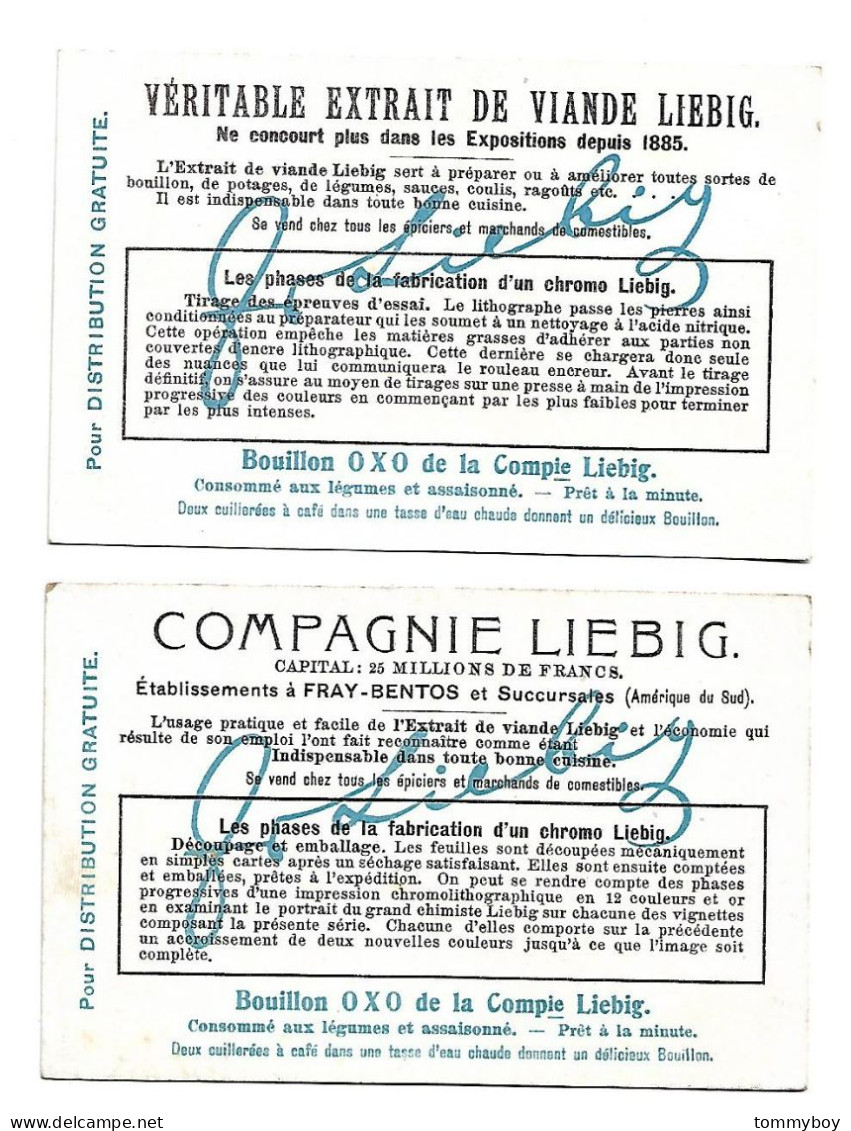 S 850, Liebig 6 Cards, Les Phases De La Fabrication D'un Chromo (ref B22) - Liebig