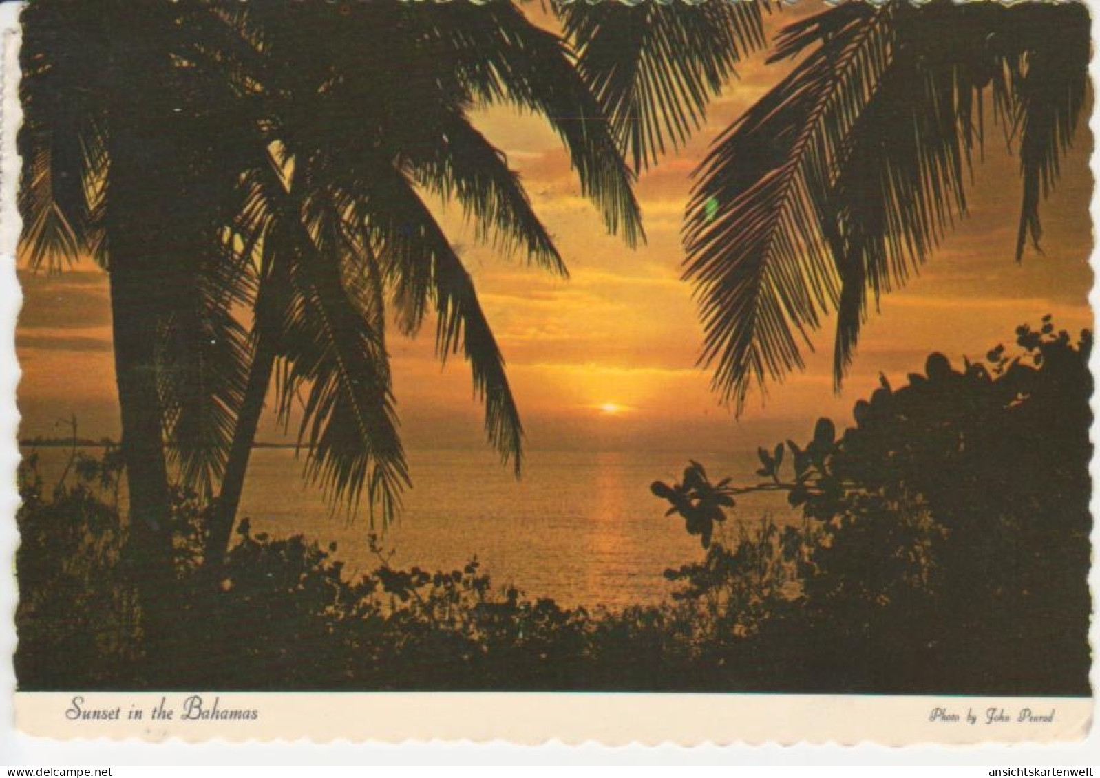 Bahamas Sunset Gl1980 #218.374 - Autres & Non Classés