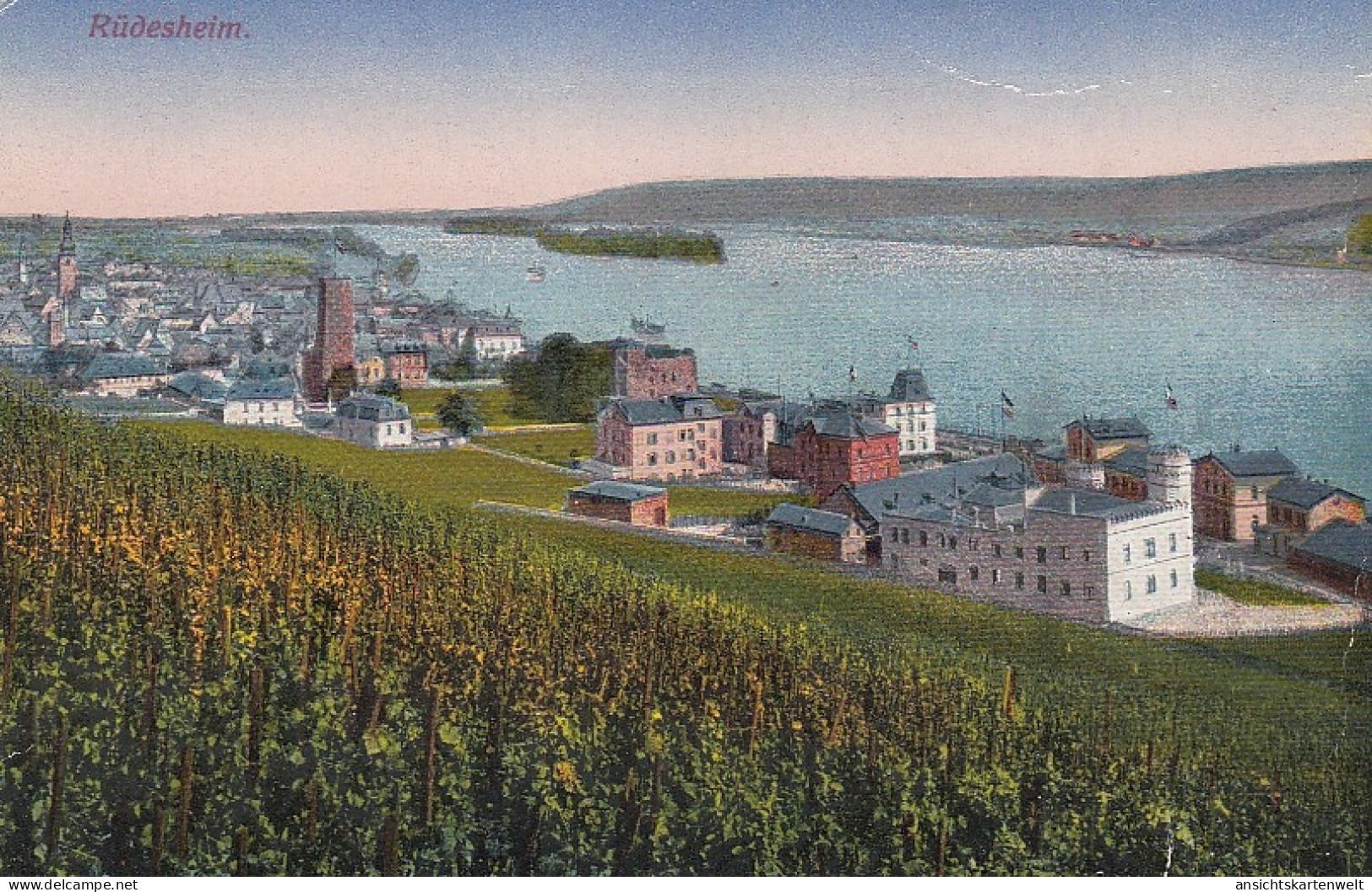 Rüdesheim Am Rhein Panorama Ngl #D1495 - Sonstige & Ohne Zuordnung