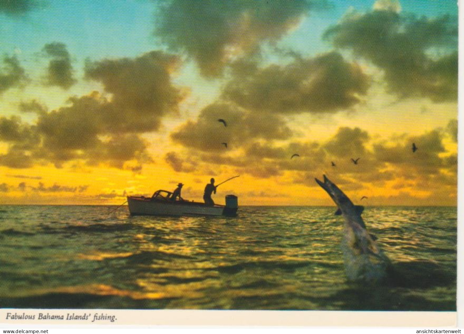 Fabulous Bahama Islands' Fishing Ngl #218.368 - Autres & Non Classés