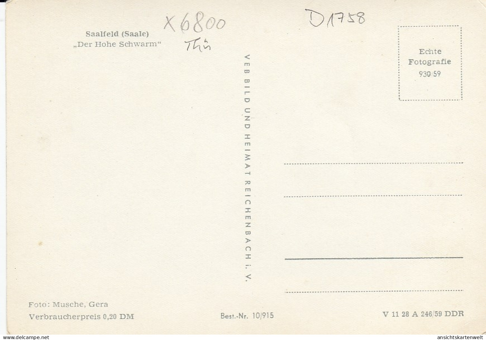 Saalfeld (Saale) Der Hohe Schwarm Ngl #D1758 - Altri & Non Classificati