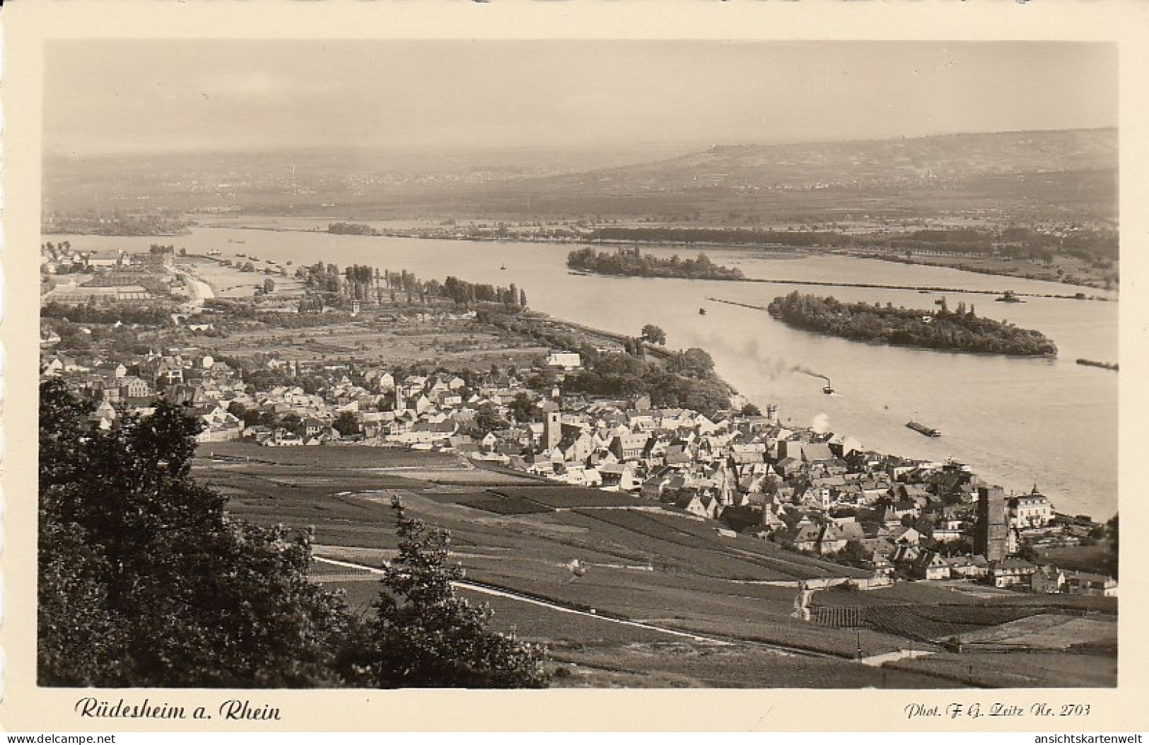 Rüdesheim Am Rhein Panorama Ngl #D1497 - Sonstige & Ohne Zuordnung