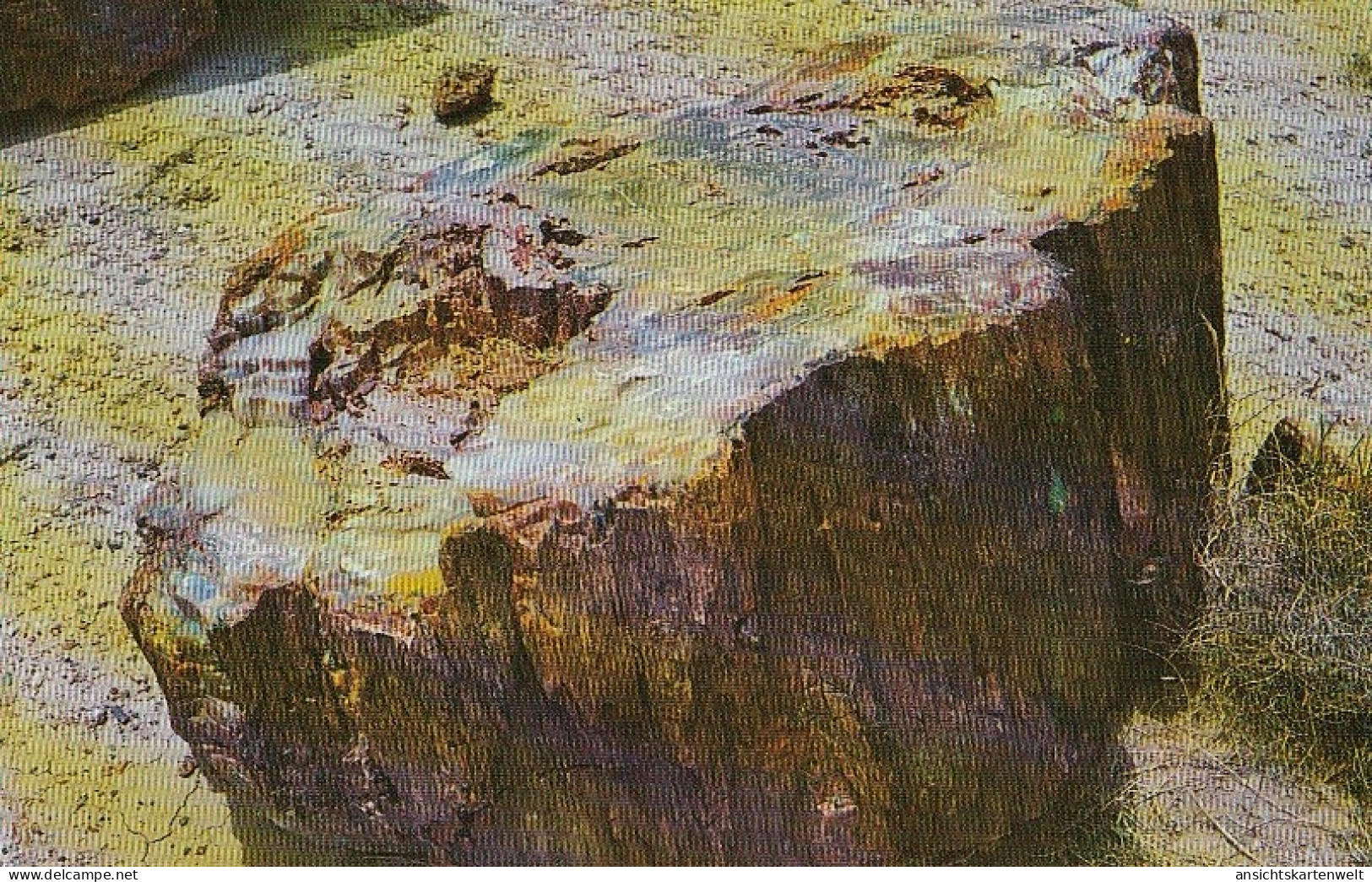 Petrified Log, Petrified Forest Nat.Monument, Arizona Ngl #D2009 - Sonstige & Ohne Zuordnung