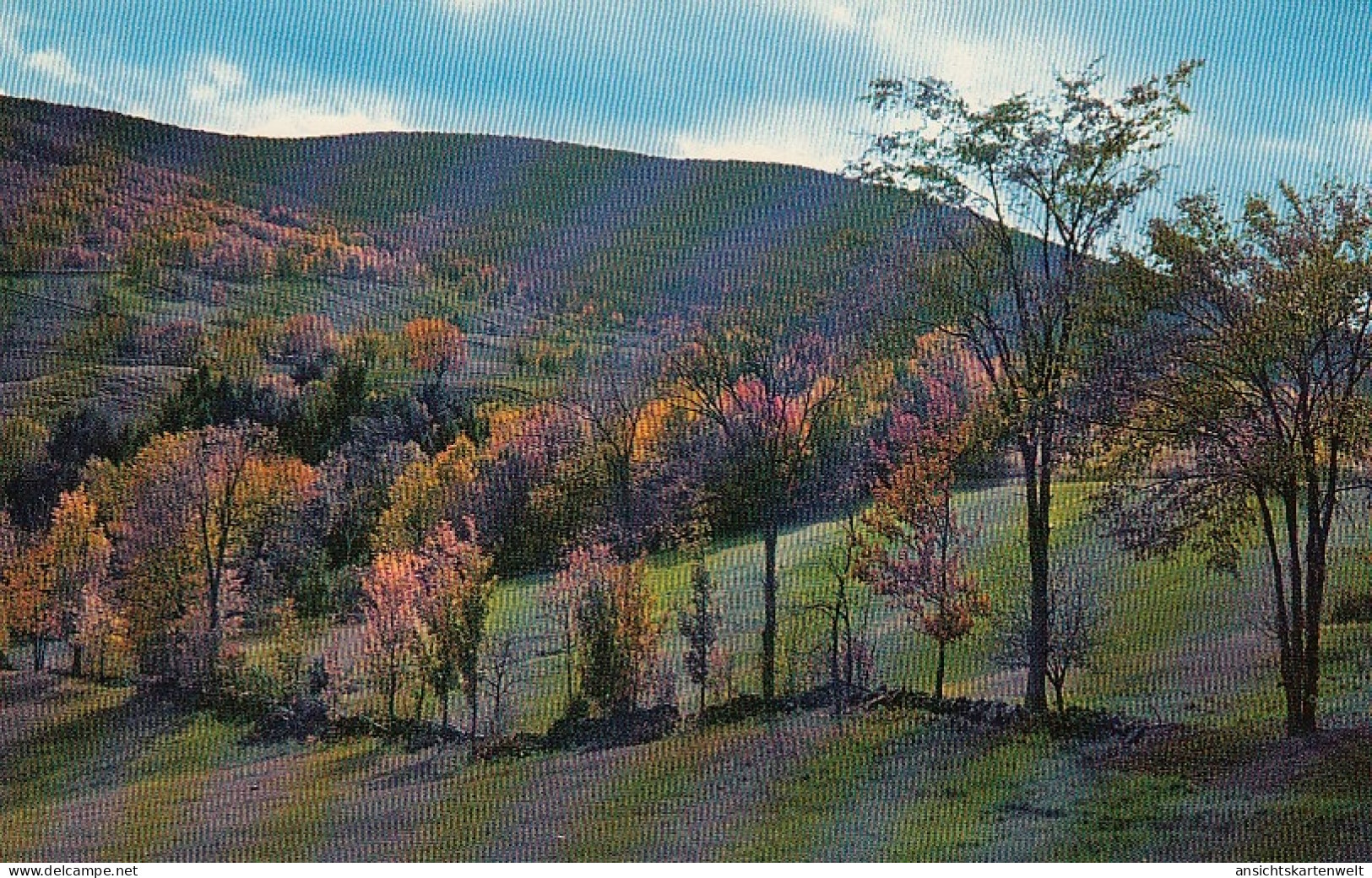 Fall Scene In The Catskill Mountains Near Windham Ngl #D2003 - Sonstige & Ohne Zuordnung