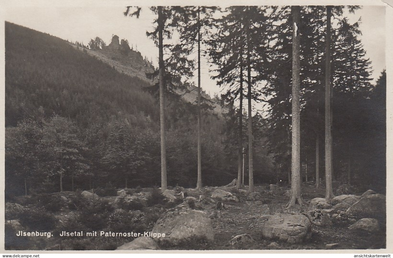 Ilsenburg Ilsetal Mit Paternoster-Klippe Ngl #D2349 - Sonstige & Ohne Zuordnung