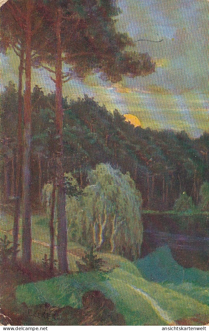 Waldstück Mit Sonnenuntergang Feldpgl1917 #D2485 - Unclassified