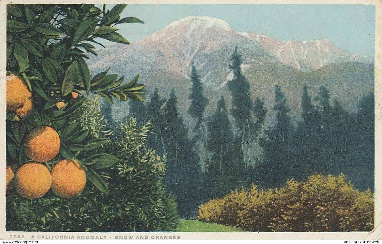 USA A California Anomaly - Snow And Oranges Gl1929 #D3171 - Andere & Zonder Classificatie