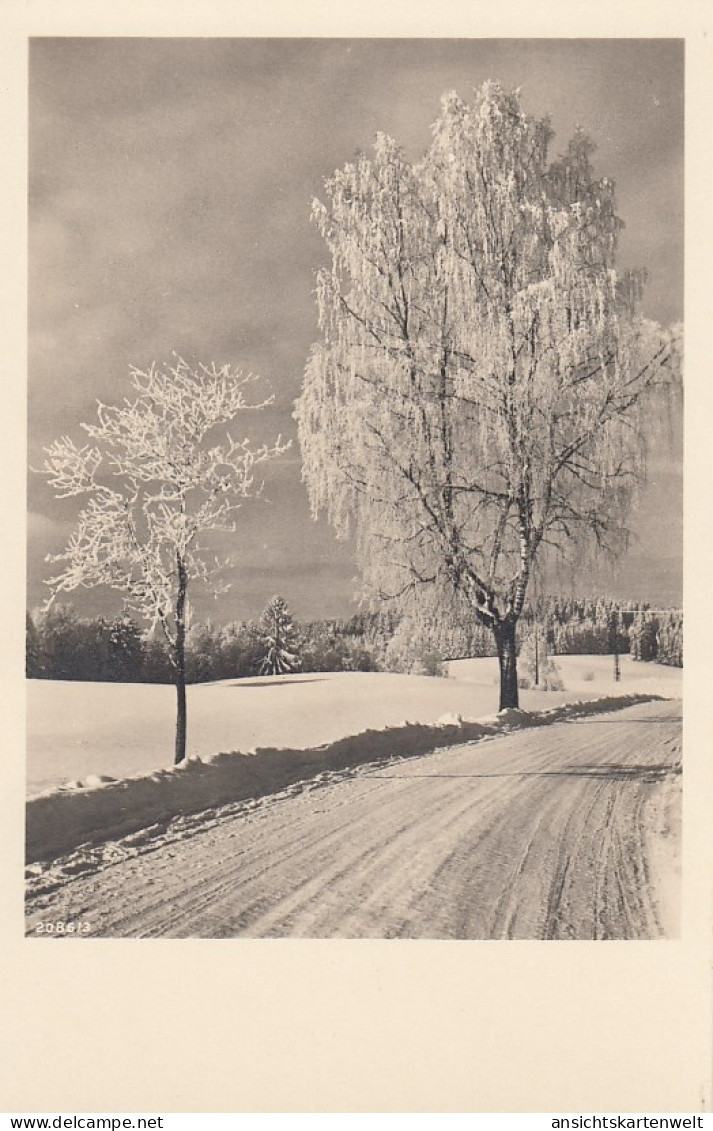 Landschaft Im Rauhreif Ngl #D2504 - Ohne Zuordnung