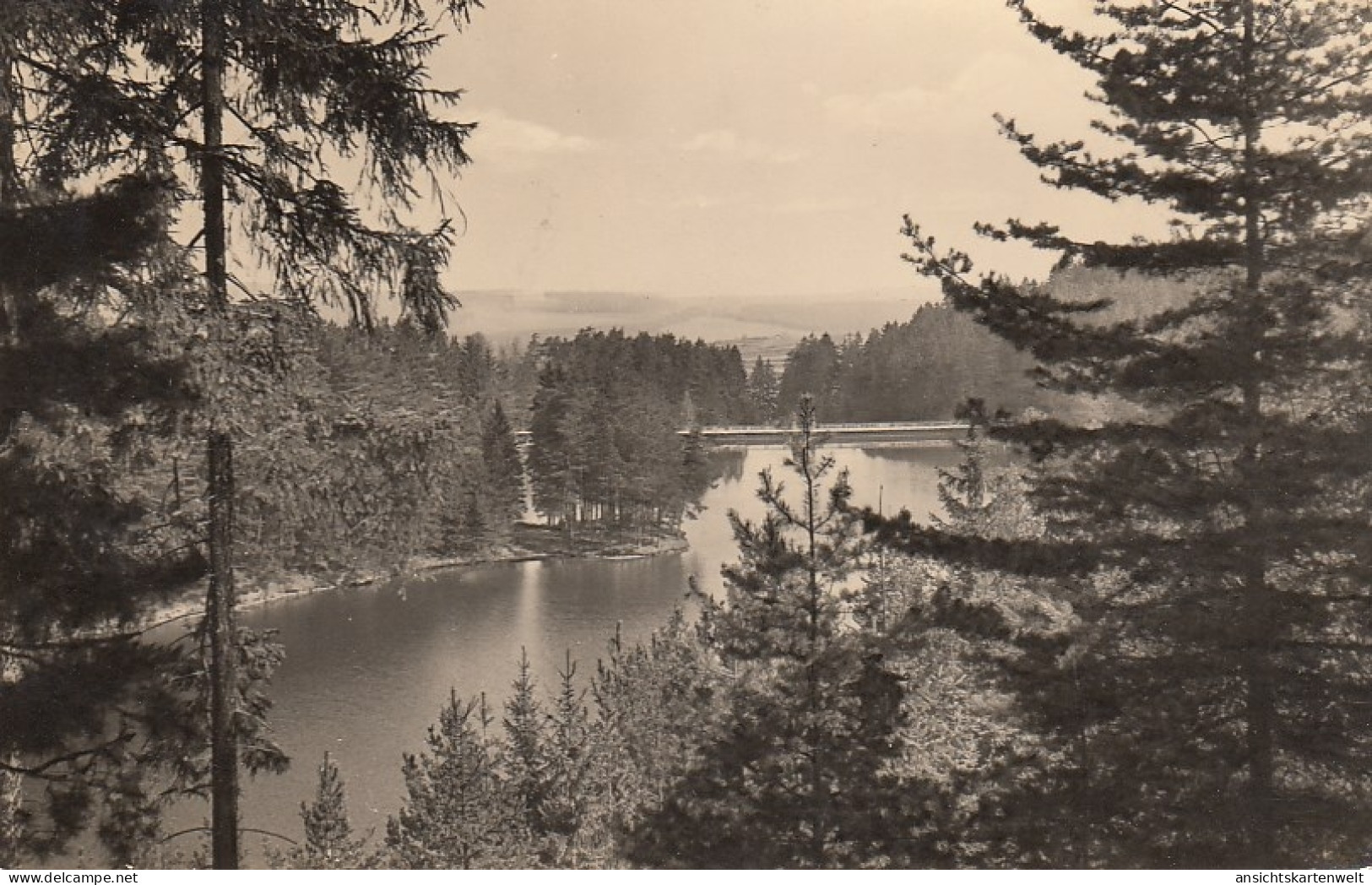 Tambach-Dietharz Thür.Wald Gothaer Talsperre Gl1963 #D3284 - Sonstige & Ohne Zuordnung