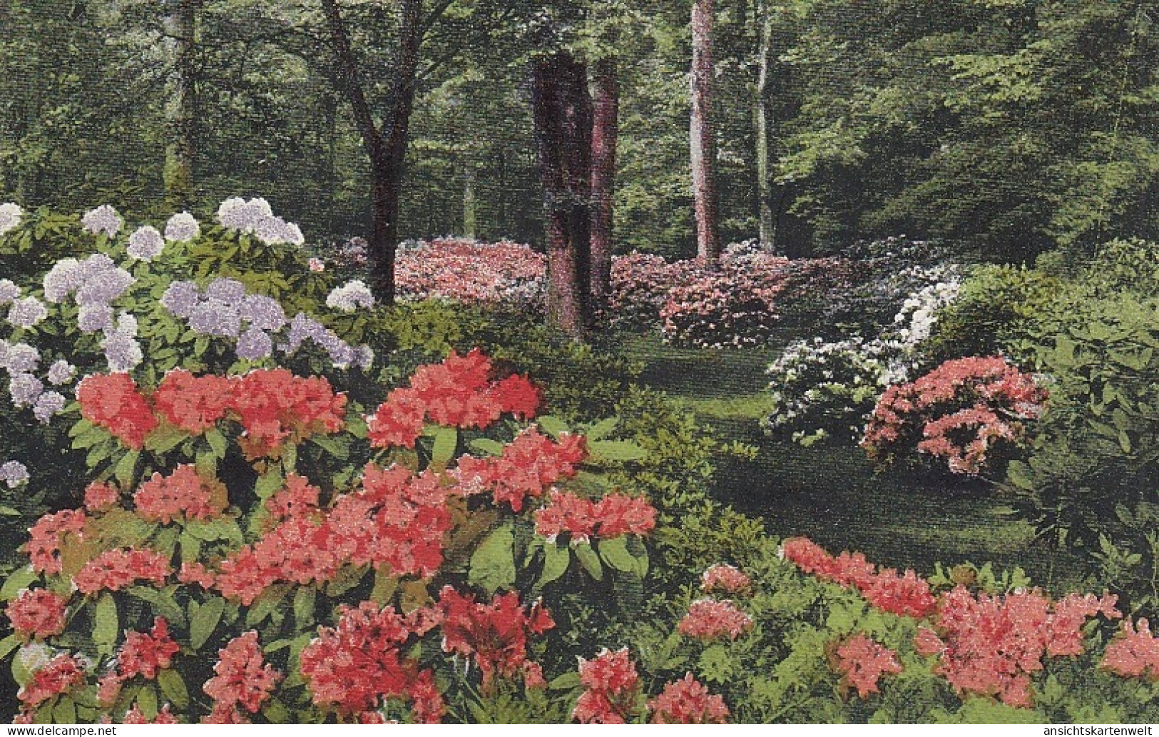 Ein Blumen-Wald Feldpgl1917 #D3851 - Autres & Non Classés